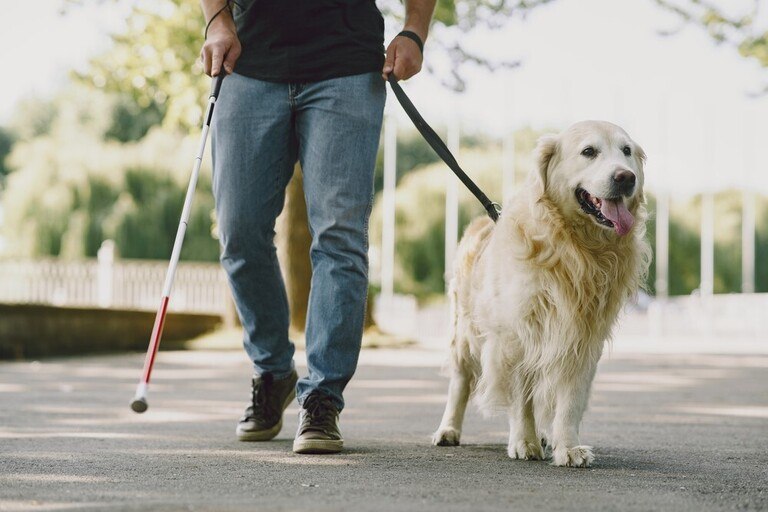Easy Tweaks To Burn More Calories on Your Walk Easy Tweaks To Burn More Calories on Your Walk