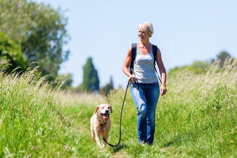 Easy Tweaks To Burn More Calories on Your Walk Easy Tweaks To Burn More Calories on Your Walk